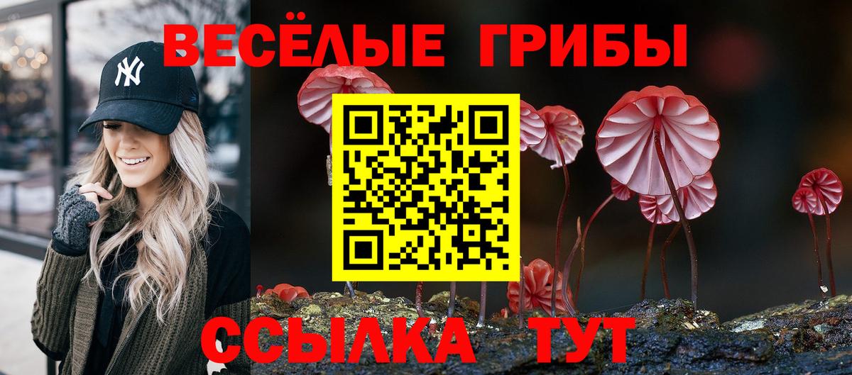 Галлюциногенные грибы мицелий  Вход с VPN  Ижевск 