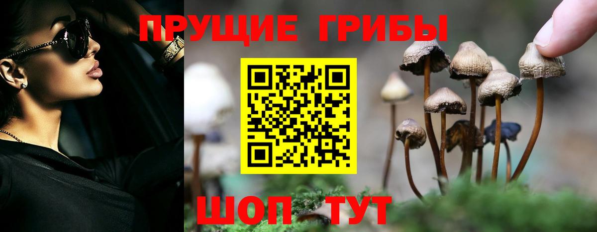 Псилоцибиновые грибы мухоморы Ижевск